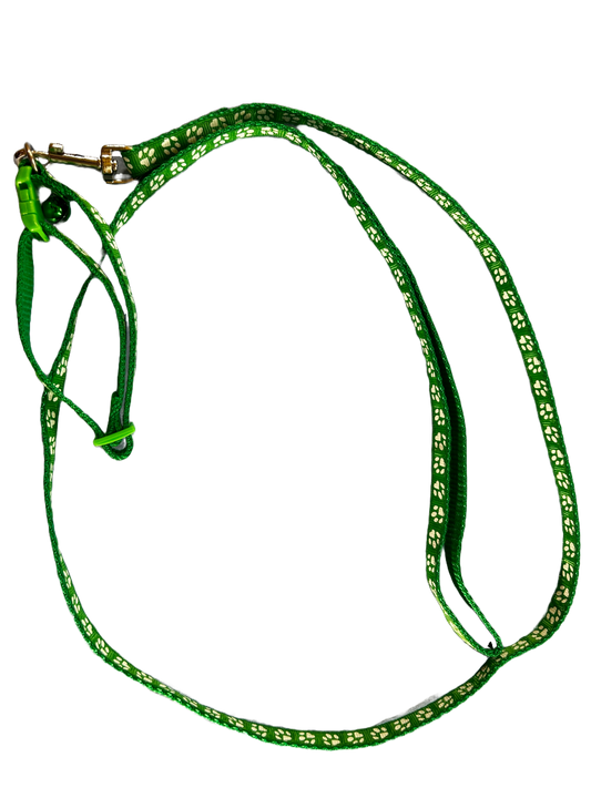 Paw Drazzel Boutique Pet's Synthetic Fiber, Alloy Metal D Ring, Small Dog Leash And Collar