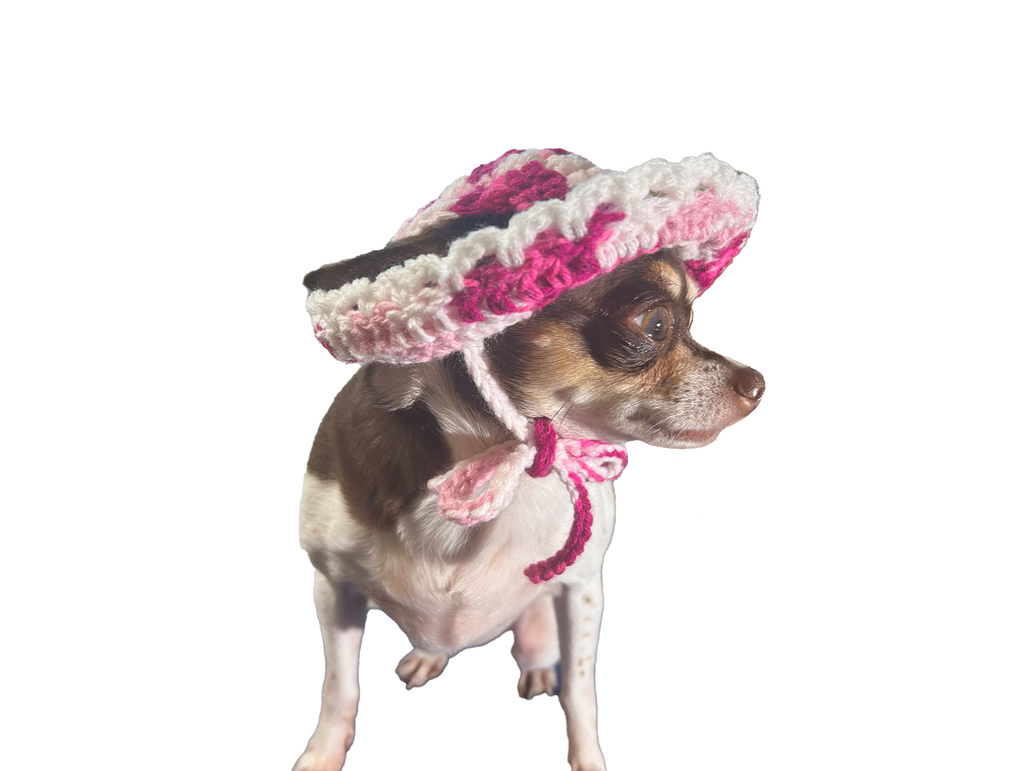 Paw Drazzel Boutique Pet's Handmade, Crochet Ruffle Hats