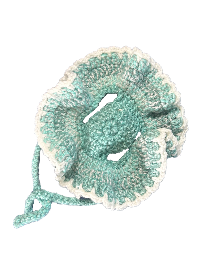 Paw Drazzel Boutique Pet's Handmade, Crochet Ruffle Hats