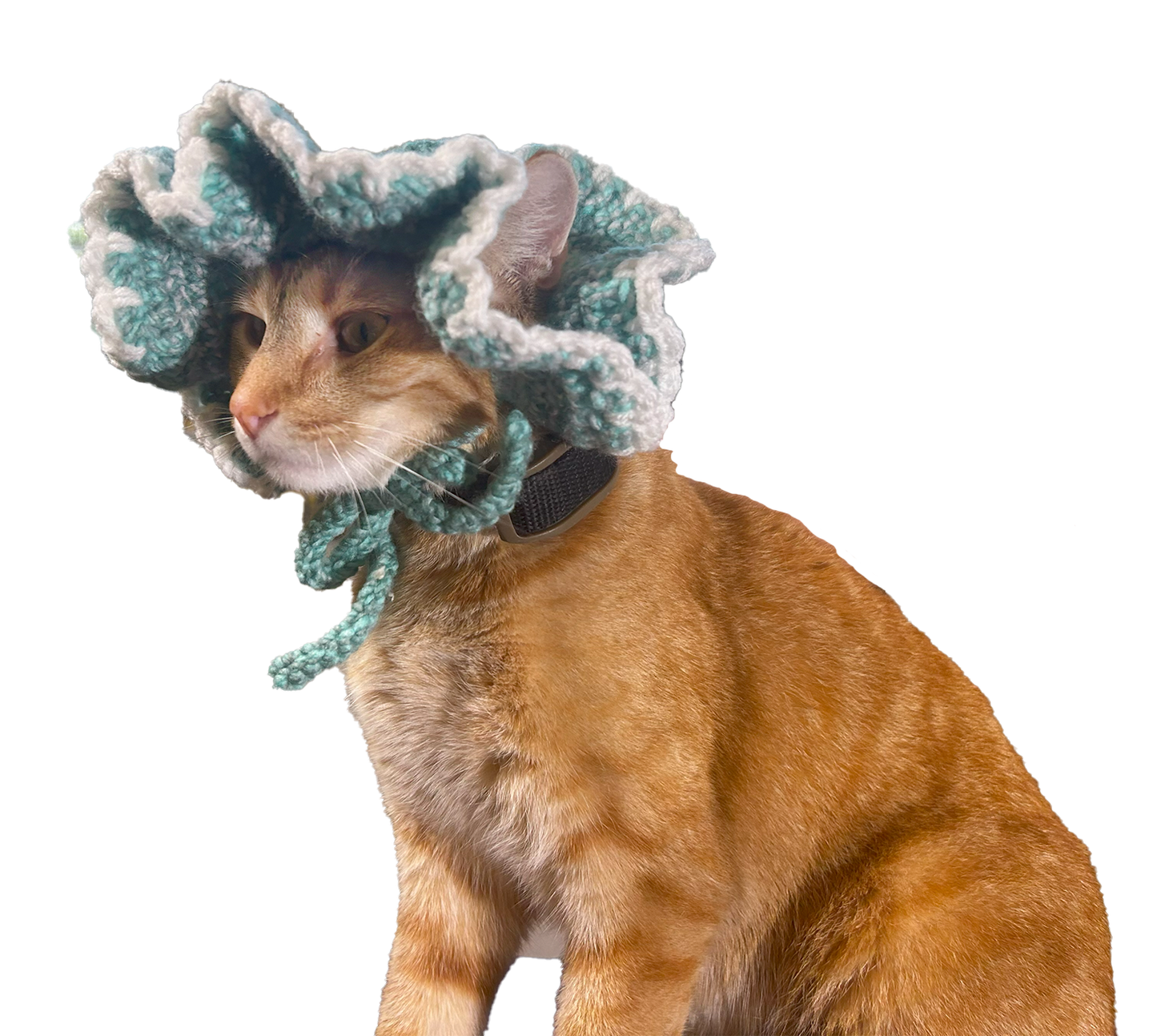 Paw Drazzel Boutique Pet's Handmade, Crochet Ruffle Hats