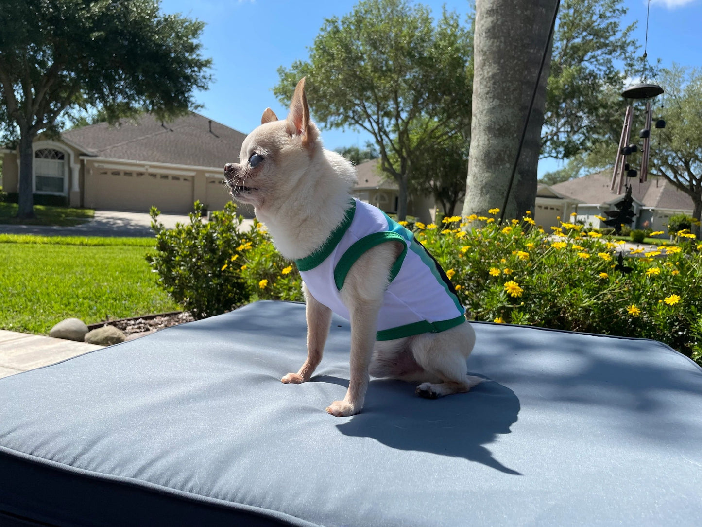 Extra Small Dog / Cat shirt