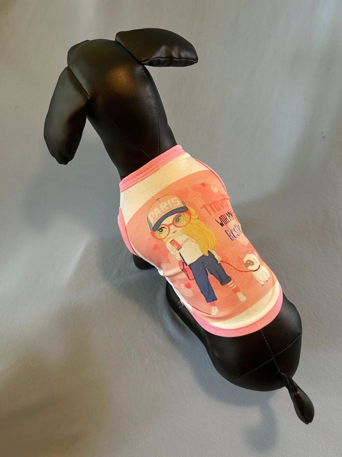 Small Dog/ Cat shirts