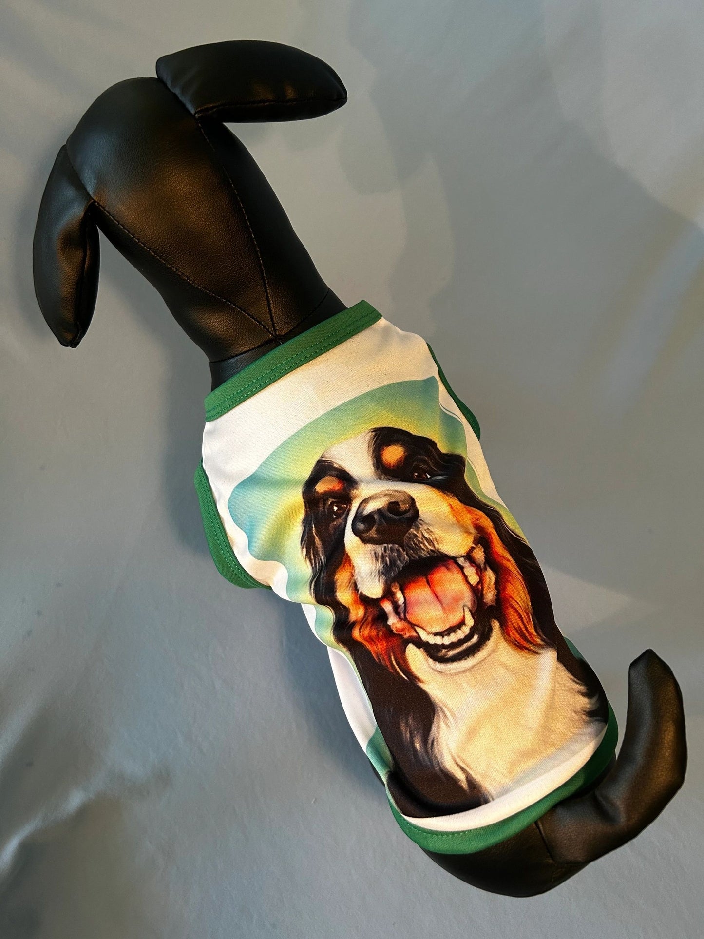 Medium Dog/Cat shirts