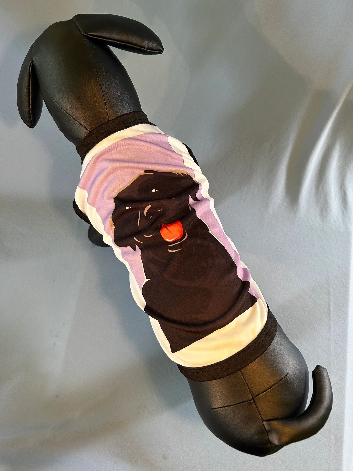 Large Dog / Cat shirts