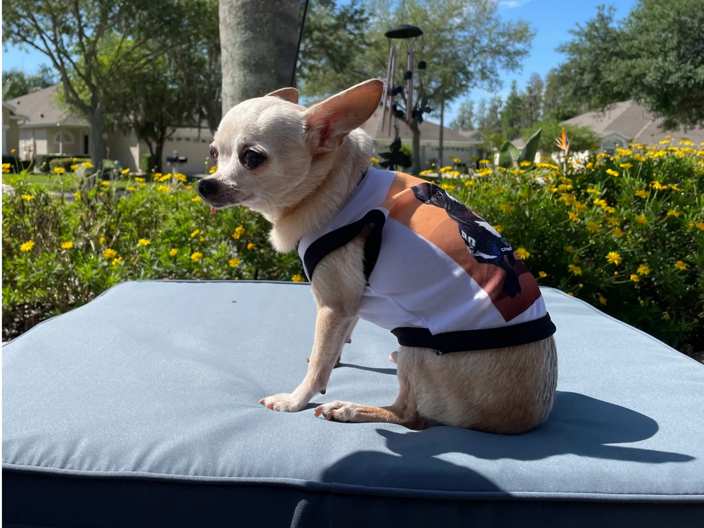 Small Dog/ Cat shirts