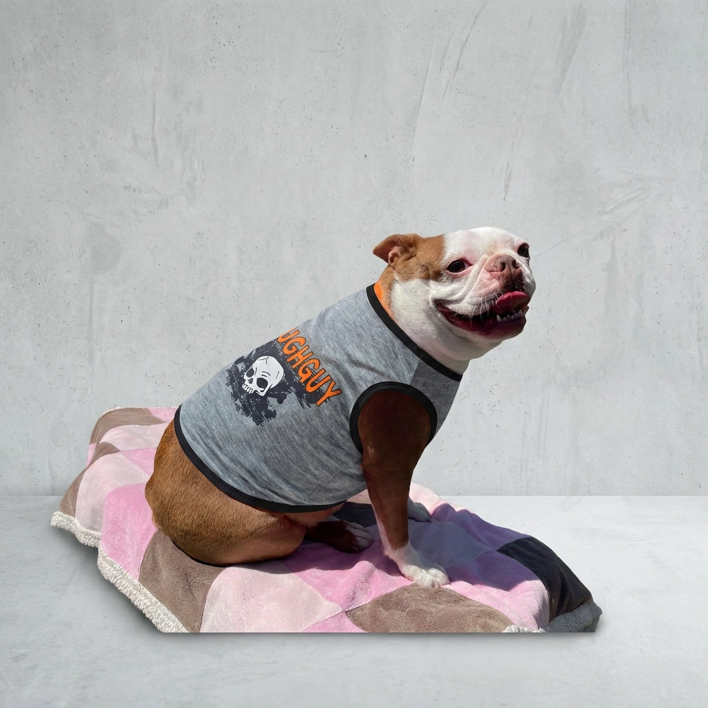 Paw Drazzel Boutique Pet's, Soft Cotton, Printed Graphic, Funny Slogan, Large Pet T-Shirt & Tank Tops