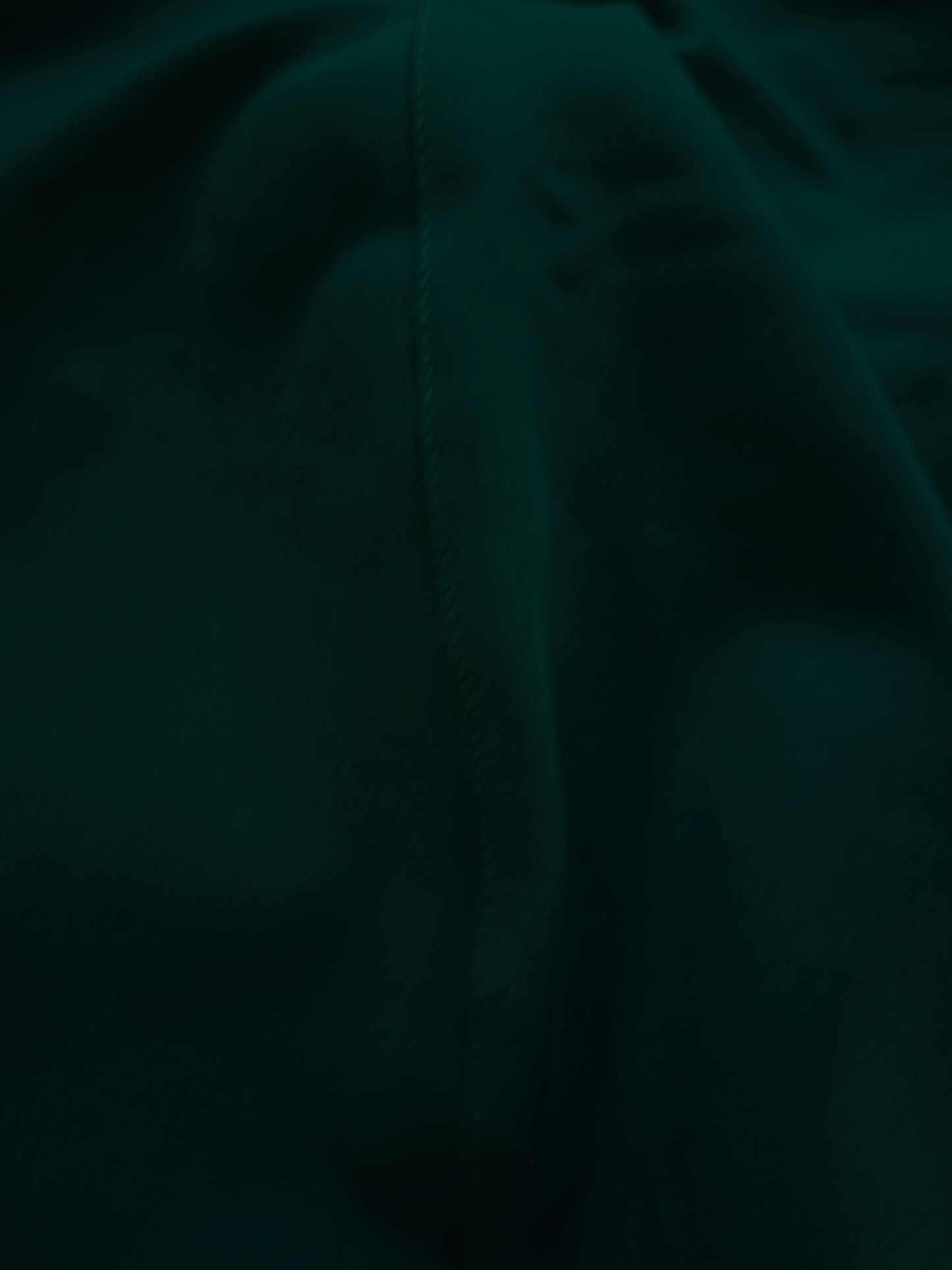 Paw Drazzel Boutique Women's High-Waisted, Belted, Straight-Leg, Tailored Pants