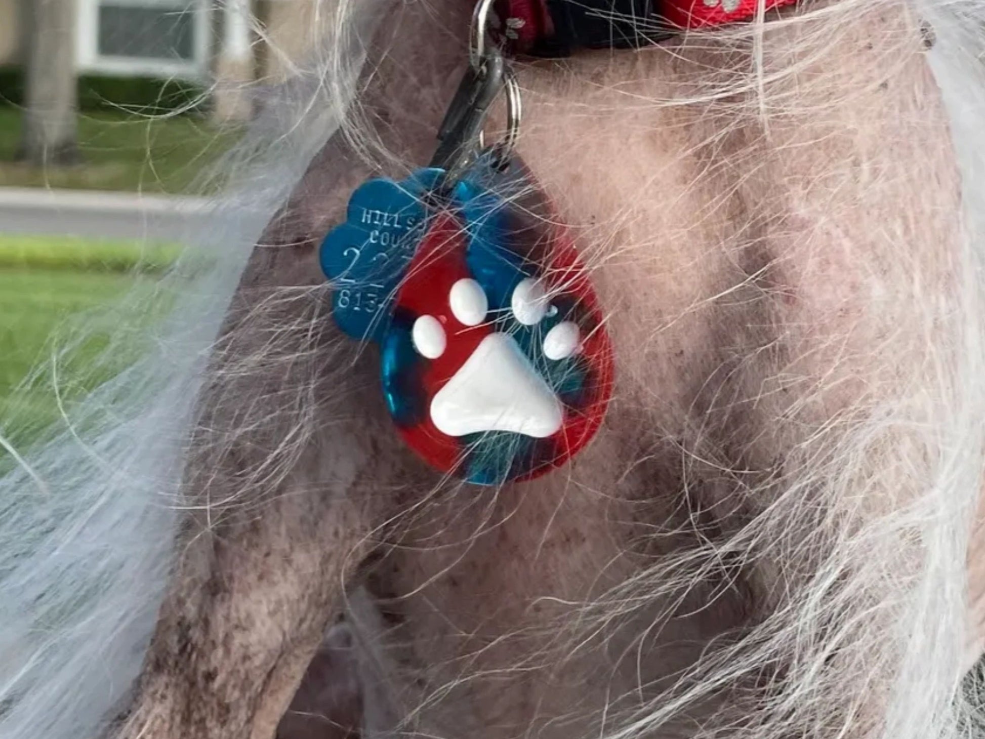 Small handmade black water drop-shaped charm with white paw