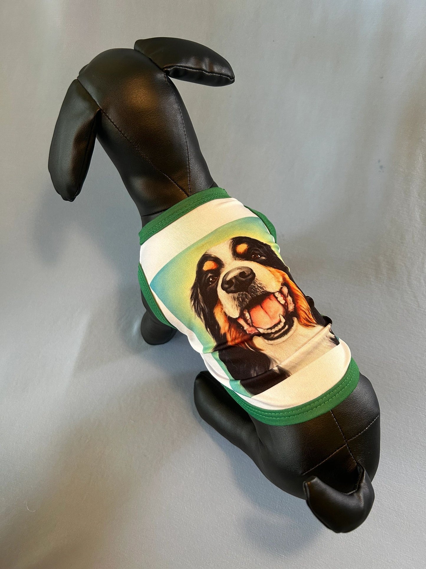 Small Dog/ Cat shirts